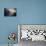 Overlooking Paine Grande Left, Los Cuernos Right, Torres Del Paine NP, Located S Chilean Patagonia-Jay Goodrich-Photographic Print displayed on a wall