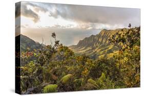 Overlooking the Kalalau Valley Right before Sunset-Andrew Shoemaker-Stretched Canvas