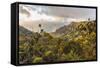 Overlooking the Kalalau Valley Right before Sunset-Andrew Shoemaker-Framed Stretched Canvas