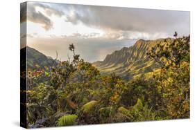 Overlooking the Kalalau Valley Right before Sunset-Andrew Shoemaker-Stretched Canvas