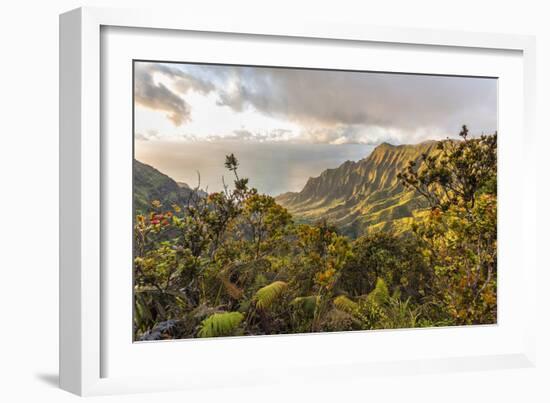 Overlooking the Kalalau Valley Right before Sunset-Andrew Shoemaker-Framed Photographic Print