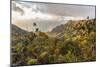 Overlooking the Kalalau Valley Right before Sunset-Andrew Shoemaker-Mounted Photographic Print