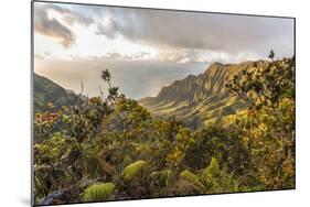 Overlooking the Kalalau Valley Right before Sunset-Andrew Shoemaker-Mounted Photographic Print