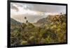 Overlooking the Kalalau Valley Right before Sunset-Andrew Shoemaker-Framed Photographic Print