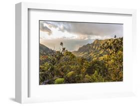 Overlooking the Kalalau Valley Right before Sunset-Andrew Shoemaker-Framed Photographic Print