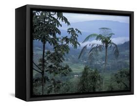 Overlooking the Lush Turrialba Area, Rancho Naturalista, Costa Rica-Cindy Miller Hopkins-Framed Stretched Canvas