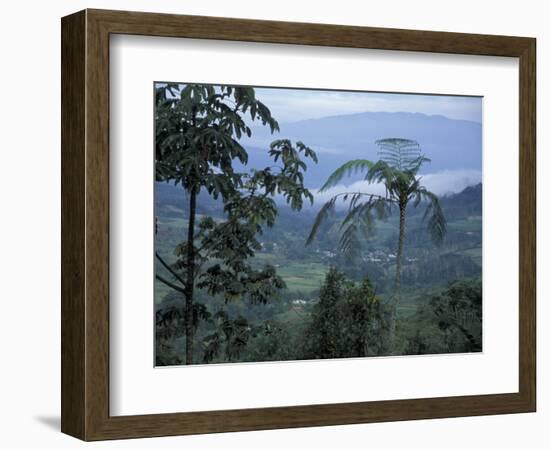 Overlooking the Lush Turrialba Area, Rancho Naturalista, Costa Rica-Cindy Miller Hopkins-Framed Photographic Print