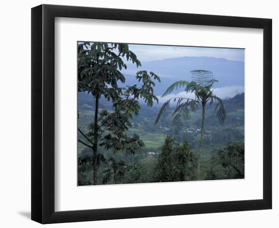 Overlooking the Lush Turrialba Area, Rancho Naturalista, Costa Rica-Cindy Miller Hopkins-Framed Photographic Print