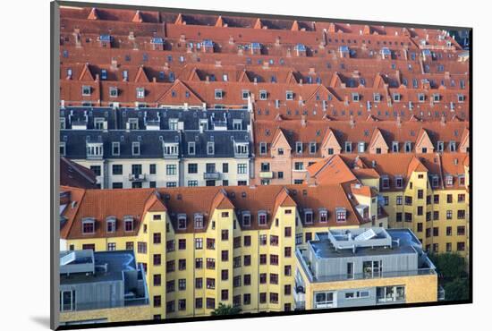 Overlooking the rooftops of Copenhagen-Mallorie Ostrowitz-Mounted Photographic Print