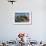 Overlooking the Square of Independence, Quito, Ecuador-Peter Adams-Framed Photographic Print displayed on a wall