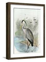 Oversize Common Heron-null-Framed Art Print