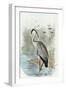 Oversize Common Heron-null-Framed Art Print