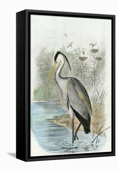 Oversize Common Heron-null-Framed Stretched Canvas