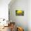 Oversized Lemon on Railroad Car - California State-Lantern Press-Stretched Canvas displayed on a wall