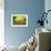 Oversized Lemon on Railroad Car - California State-Lantern Press-Framed Art Print displayed on a wall