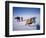 Oversnow Geophysical Team of the British Antarctic Survey, Antarctica, Polar Regions-Geoff Renner-Framed Photographic Print