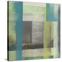 Overspray I-Jennifer Goldberger-Stretched Canvas