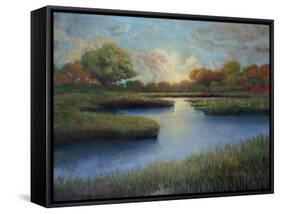 Overture-Jason Jarava-Framed Stretched Canvas