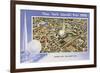 Overview, New York World's Fair, 1939-null-Framed Premium Giclee Print