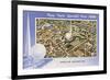 Overview, New York World's Fair, 1939-null-Framed Art Print