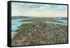 Overview of 1909 Exposition, Seattle, Washington-null-Framed Stretched Canvas