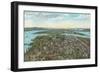 Overview of 1909 Exposition, Seattle, Washington-null-Framed Art Print