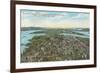 Overview of 1909 Exposition, Seattle, Washington-null-Framed Premium Giclee Print