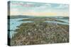 Overview of 1909 Exposition, Seattle, Washington-null-Stretched Canvas