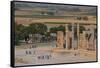 Overview of All Nations Gate and tourist groups setting off on their tours, Persepolis, UNESCO Worl-James Strachan-Framed Stretched Canvas