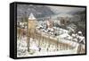 Overview of Bacharach and the Rhine River in Winter-Miles Ertman-Framed Stretched Canvas