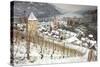 Overview of Bacharach and the Rhine River in Winter-Miles Ertman-Stretched Canvas