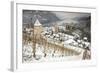 Overview of Bacharach and the Rhine River in Winter-Miles Ertman-Framed Photographic Print