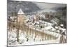 Overview of Bacharach and the Rhine River in Winter-Miles Ertman-Mounted Photographic Print