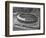 Overview of Busch Stadium-null-Framed Photographic Print