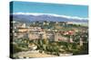 Overview of Granada, Spain-null-Stretched Canvas