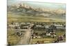 Overview of Livingston-null-Mounted Art Print