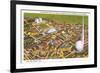 Overview of New York World's Fair, 1939-null-Framed Premium Giclee Print