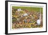 Overview of New York World's Fair, 1939-null-Framed Art Print