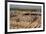 Overview of Persepolis from Tomb of Artaxerxes III, Palace of 100 Columns in foreground, UNESCO Wor-James Strachan-Framed Photographic Print