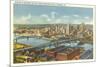 Overview of Pittsburgh-null-Mounted Art Print