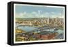 Overview of Pittsburgh-null-Framed Stretched Canvas