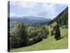 Overview of Podhom Village Near Bled, Julian Alps, Slovenia, Slovenian, Europe, European-Nick Upton-Stretched Canvas