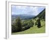 Overview of Podhom Village Near Bled, Julian Alps, Slovenia, Slovenian, Europe, European-Nick Upton-Framed Photographic Print