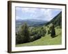 Overview of Podhom Village Near Bled, Julian Alps, Slovenia, Slovenian, Europe, European-Nick Upton-Framed Photographic Print