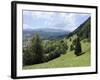 Overview of Podhom Village Near Bled, Julian Alps, Slovenia, Slovenian, Europe, European-Nick Upton-Framed Photographic Print