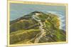 Overview of Point Loma-null-Mounted Art Print