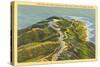 Overview of Point Loma-null-Stretched Canvas