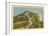 Overview of Point Loma-null-Framed Art Print