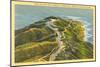 Overview of Point Loma-null-Mounted Art Print