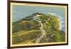 Overview of Point Loma-null-Framed Art Print